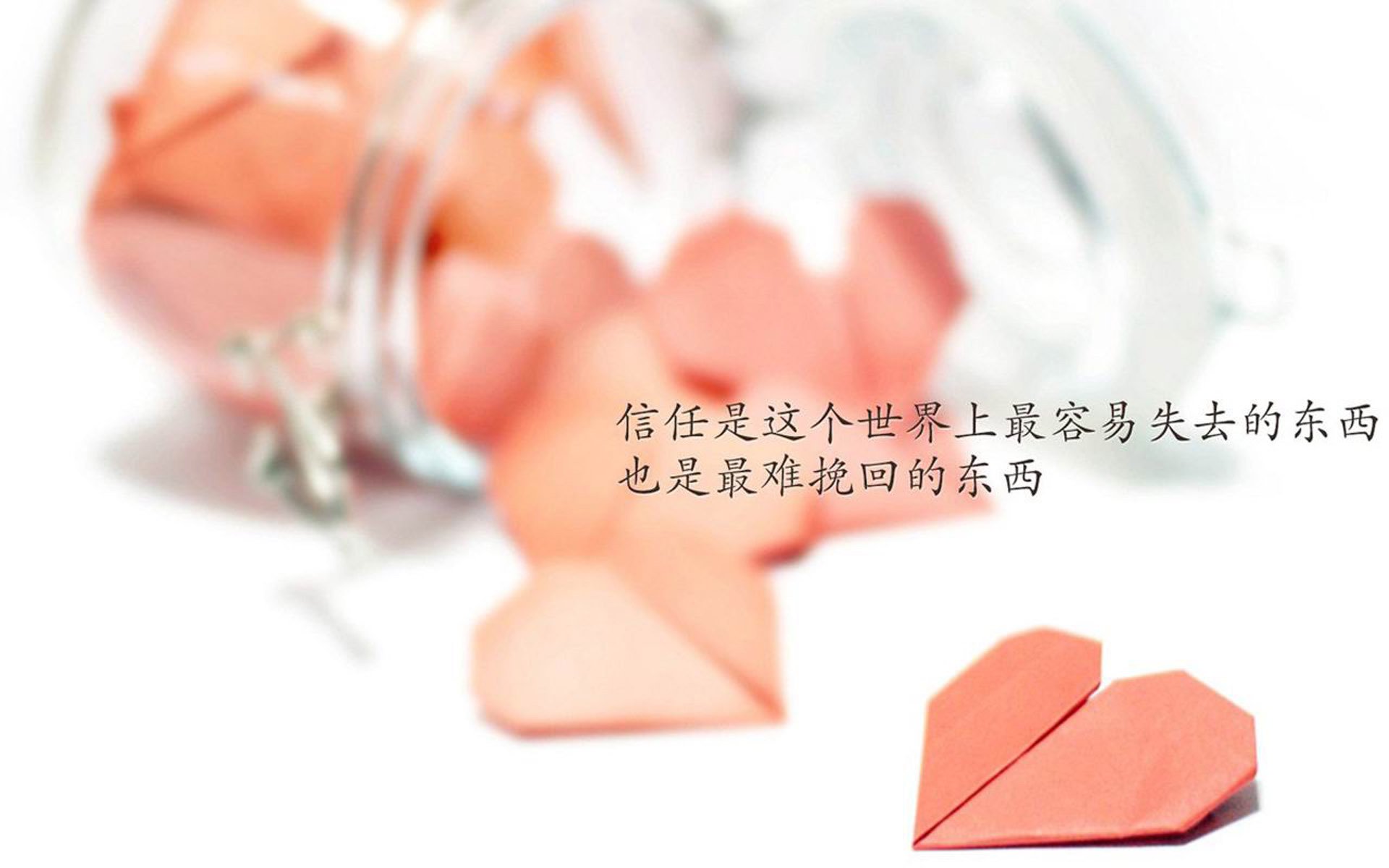 随机CBA球队新帅上任，振兴球队成为首要任务，cba球队球员资料