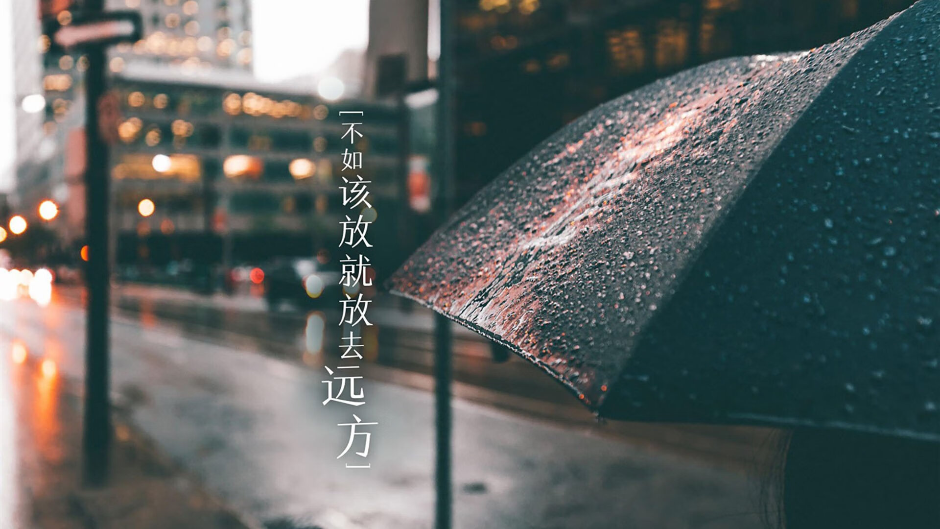 随机美洲队计划扩建主场，提升球迷体验，美洲队计划扩建主场,提升球迷体验力