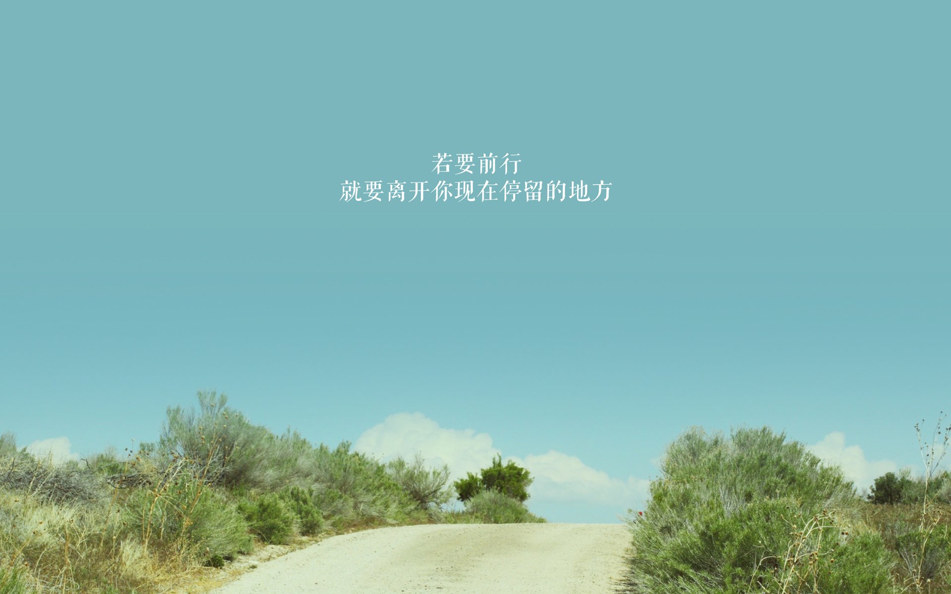 世界青少年轮滑锦标赛在上海青春绽放，全国青少年轮滑锦标赛