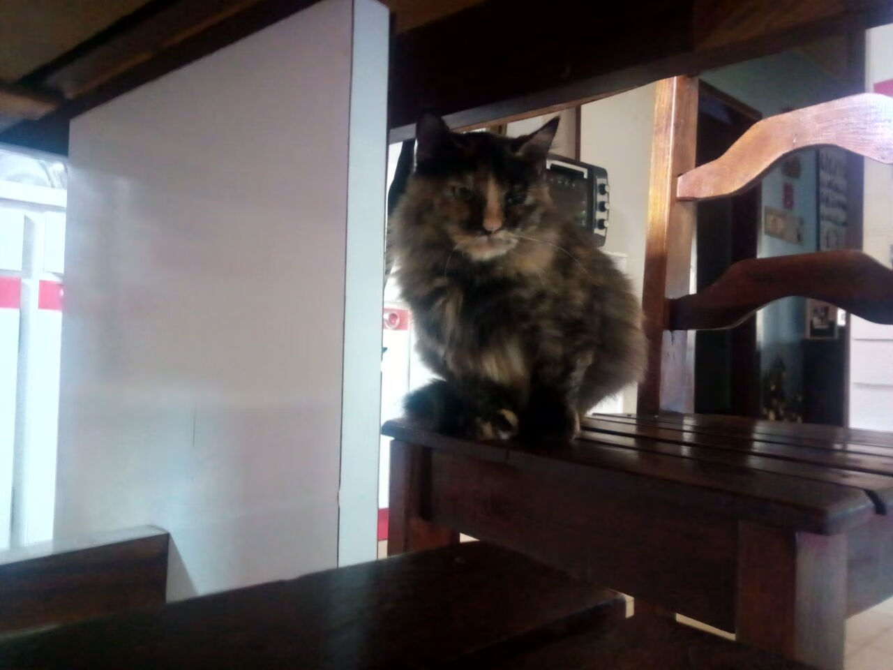 爱游戏体育-体育新闻中心发布体育社群运营与内容管理方案，体育类社团招新文案