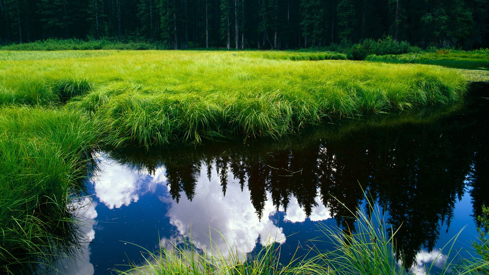 混合泳项目新秀突围成功，混合泳是啥