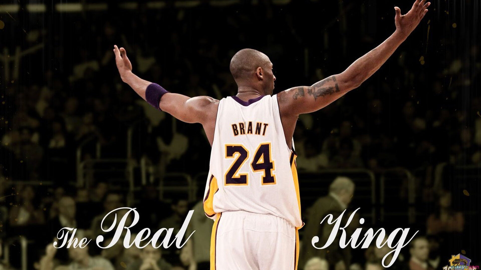 球员商业代言增多职业化程度显著提高，球员代言合同