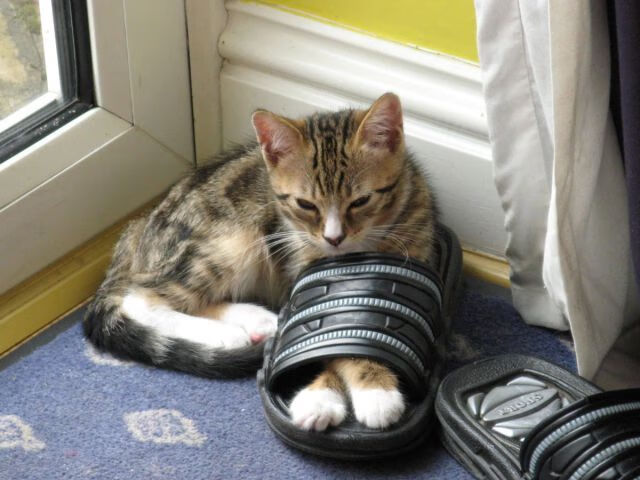 爱游戏体育平台-赛后复盘成常态战队数据分析能力持续增强