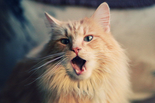 爱游戏中国官方登录入口网站-2026年世界杯十大亮点预告，期待世界足坛盛事！，2026年的世界杯