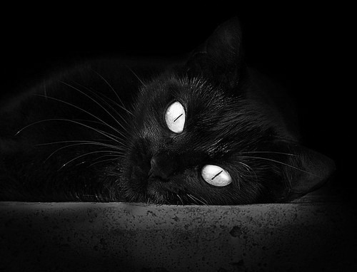 爱游戏电竞官网-“胡利安·门德斯的突破与传球，助阿根廷美洲狮队攻守兼备”