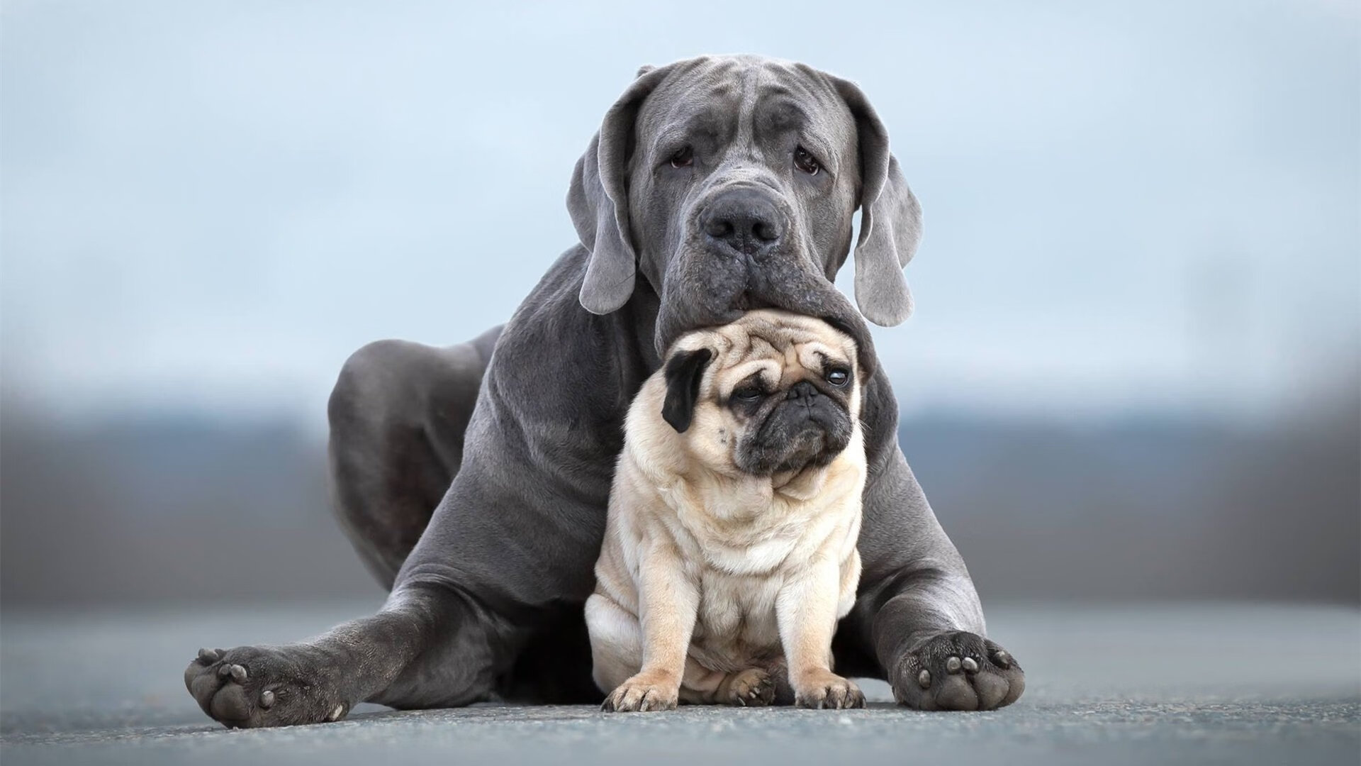 世界各地举办足球慈善赛，传递爱心力量，足球公益项目