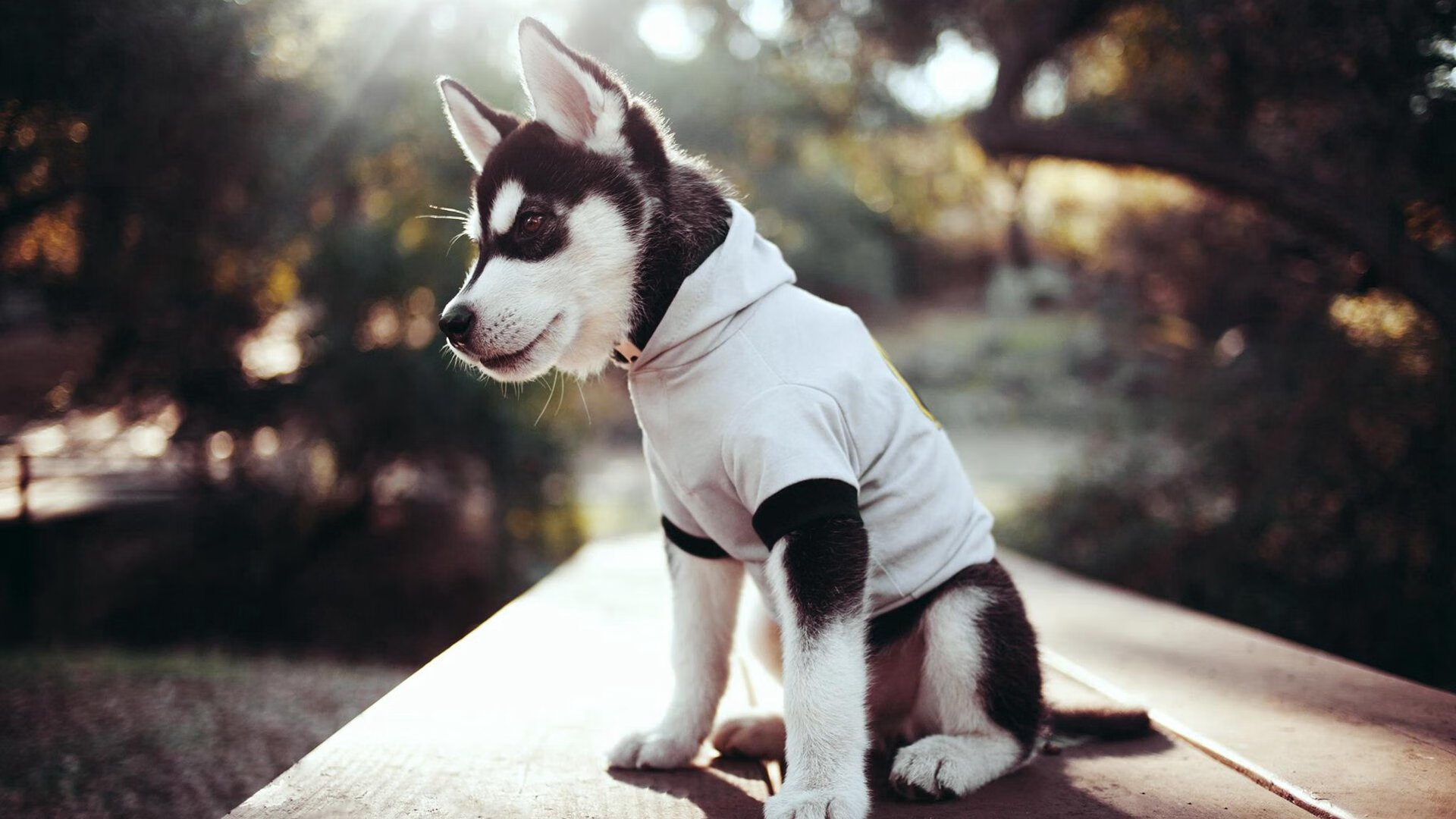 AIYOUXI.COM-中国足球联赛比赛规则持续完善提高公平性，中国足球联赛体系