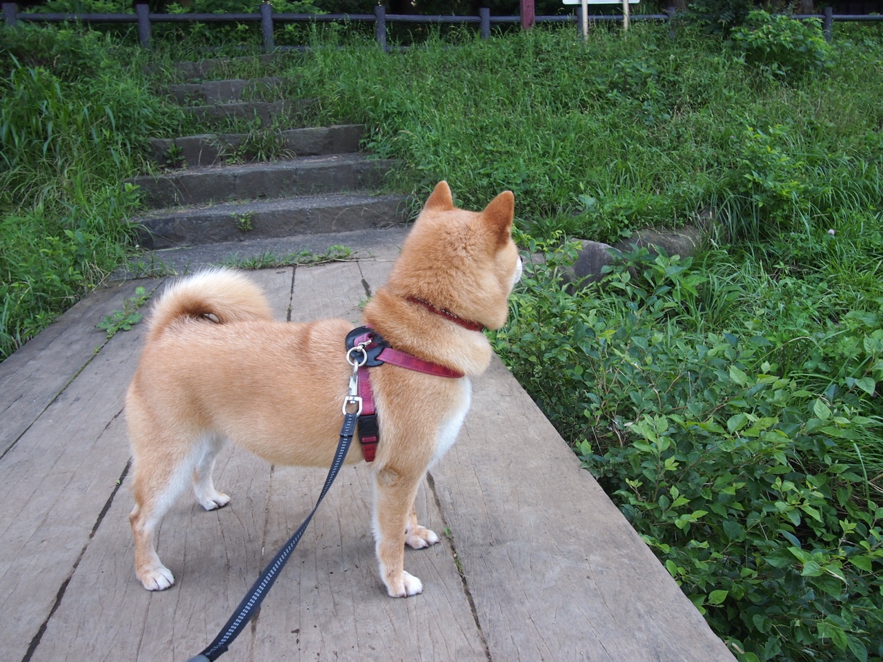 爱游戏体育平台-俱乐部通过多渠道听取球迷反馈积极推动服务体验迭代升级，足球俱乐部的渠道通路