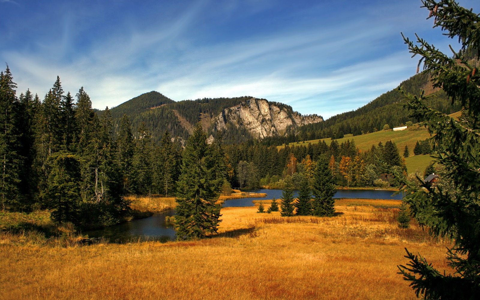 全景直播与多机位切换技术结合，打造极致沉浸式观赛体验，网络直播多镜头切换