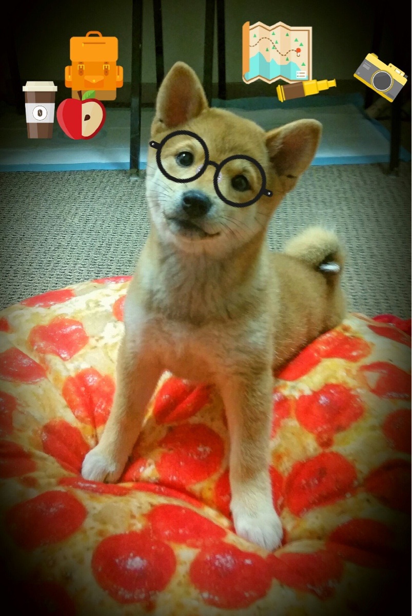 AYX体育官网-女子超级联赛品牌升级吸引更多主流赞助，2021女子足球超级联赛