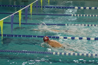 爱游戏下载-张雨霏自由泳赛段发力迅速，张雨霏自由泳实力