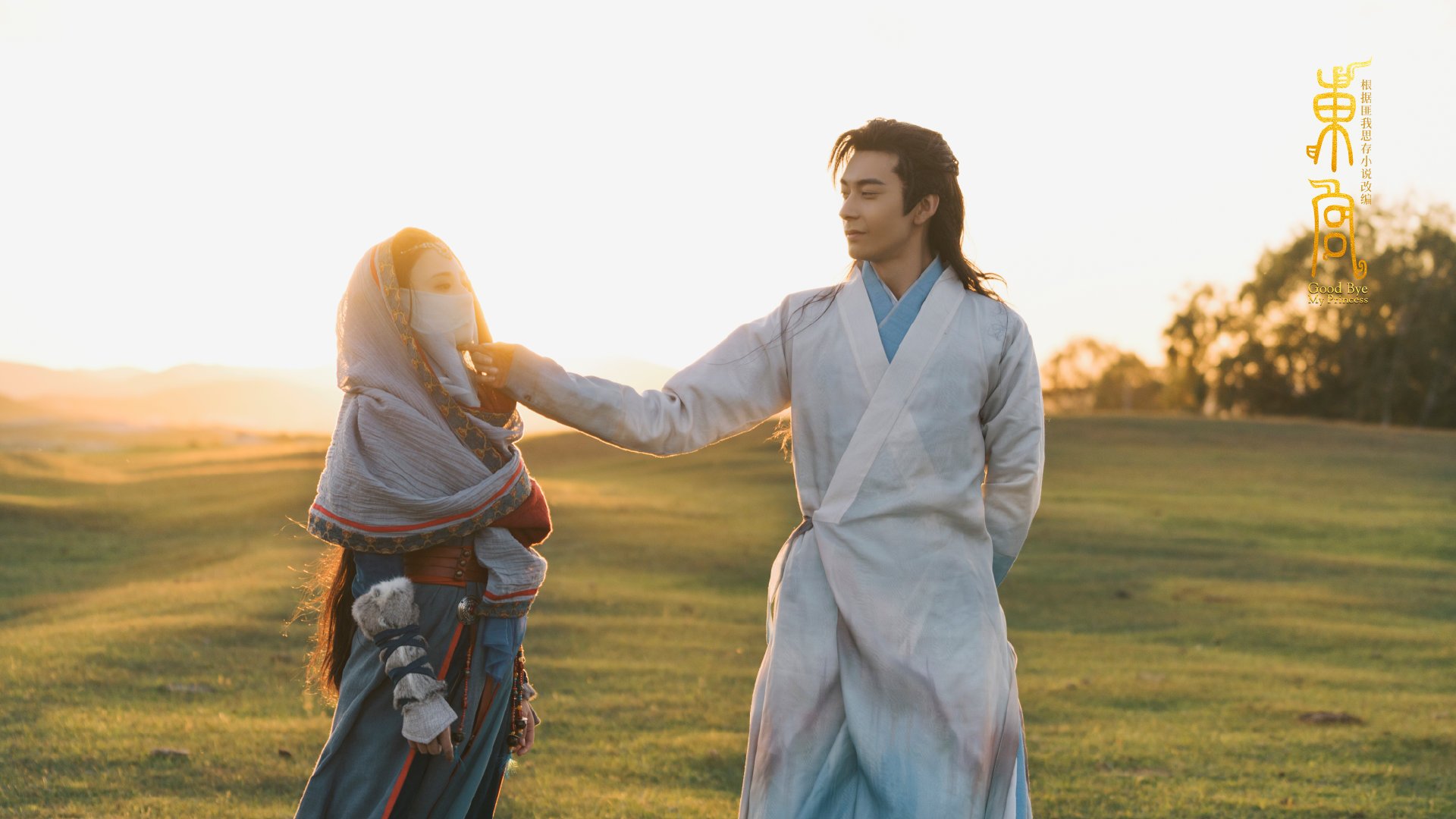 张雨霏自由泳赛段发力迅速，张雨霏自由泳实力