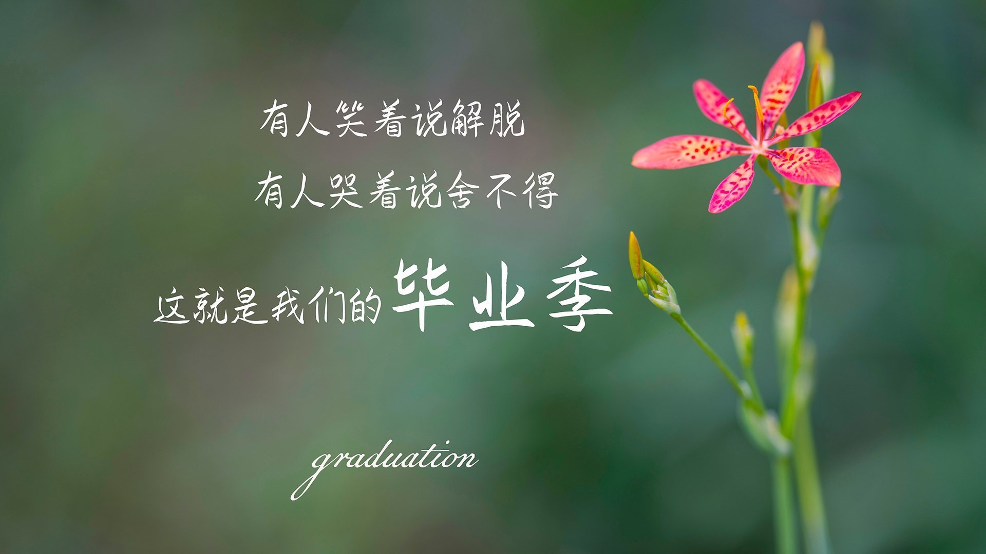 AIYOUXI.COM-欧洲杯精彩回放：那些令人震撼的瞬间，欧洲杯精彩回放_那些令人震撼的瞬间