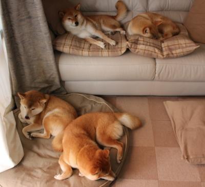 爱游戏娱乐-职业俱乐部青训招生计划火热报名人数同比增长明显，职业联赛青训